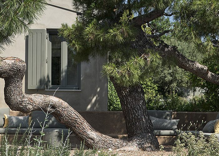 House in Sounio renovation